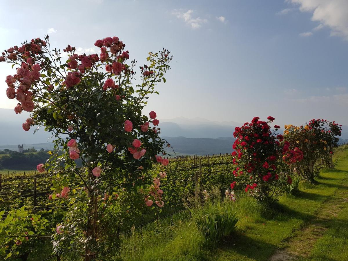 Das Matscher Residence & Garden Hotel Appiano Sulla Strada Del Vino Esterno foto
