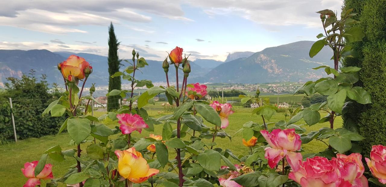 Das Matscher Residence & Garden Hotel Appiano Sulla Strada Del Vino Esterno foto