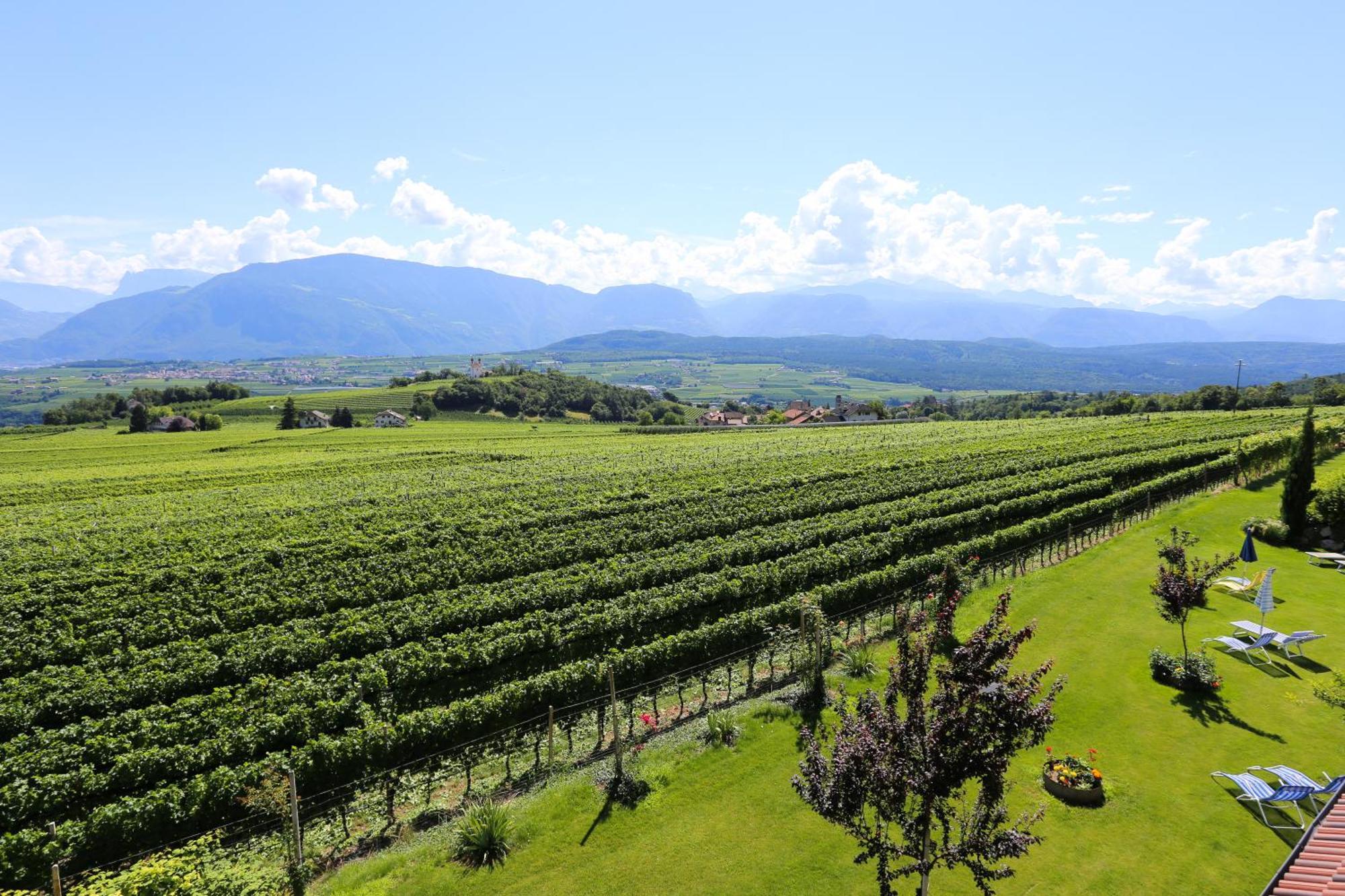 Das Matscher Residence & Garden Hotel Appiano Sulla Strada Del Vino Esterno foto